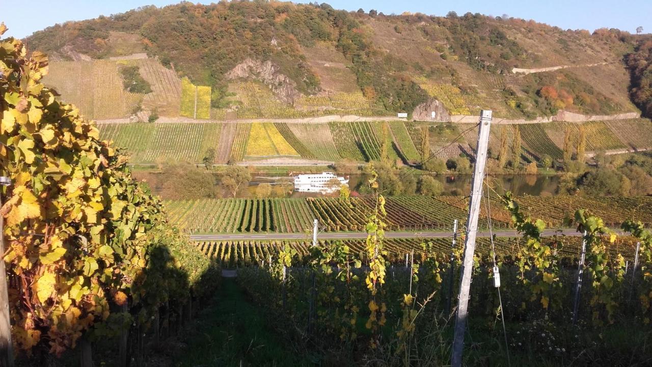 Gaestehaus Moselblick Trittenheim Eksteriør bilde