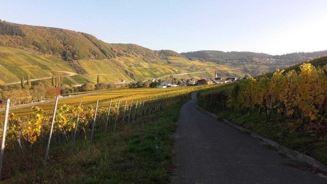 Gaestehaus Moselblick Trittenheim Eksteriør bilde